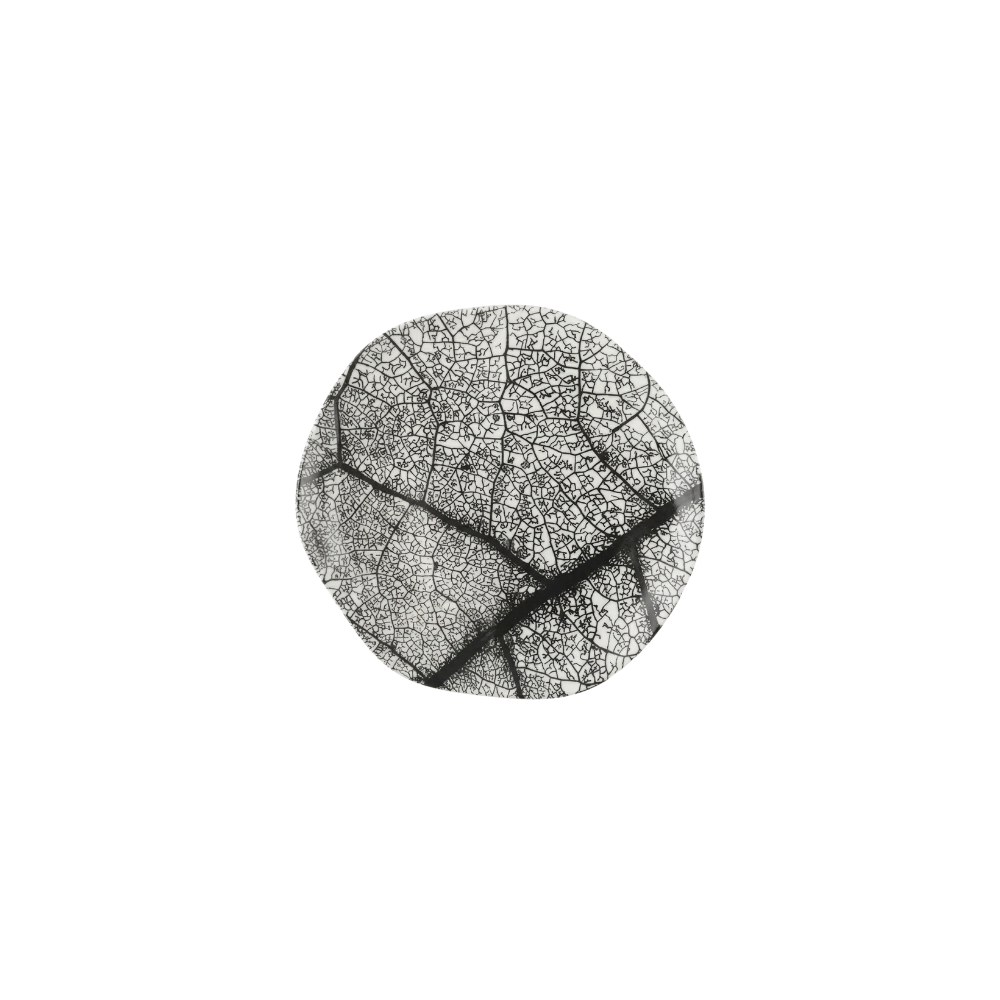 20260521_212641_0000